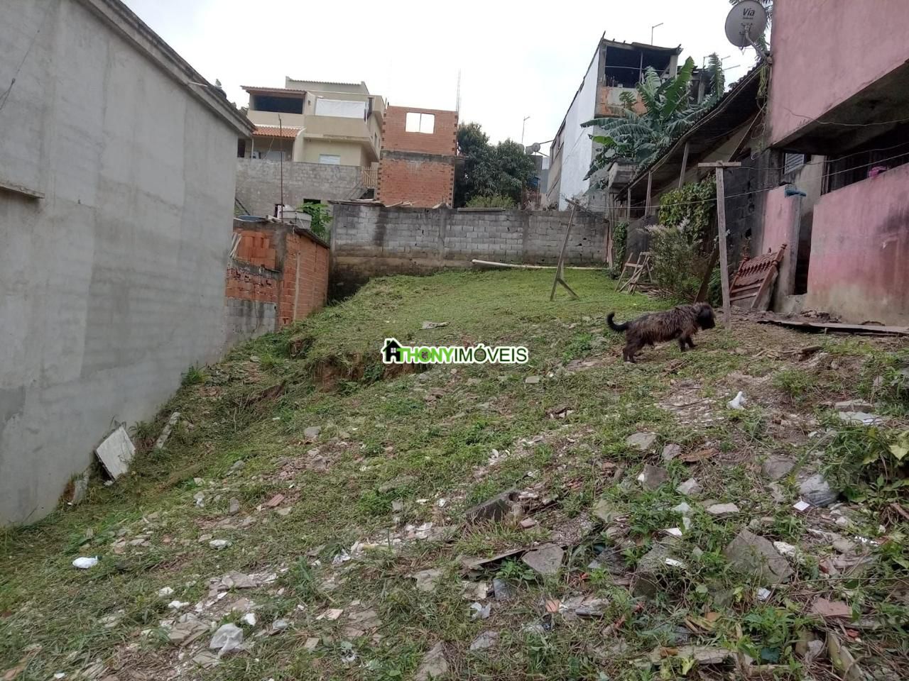 Imagem 2