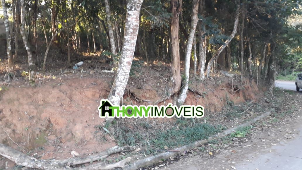Imagem 2