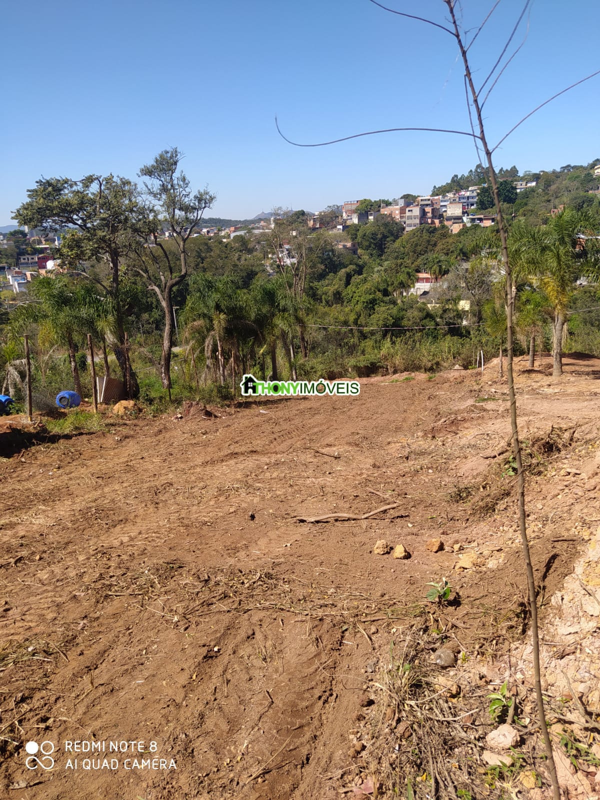 Imagem 3