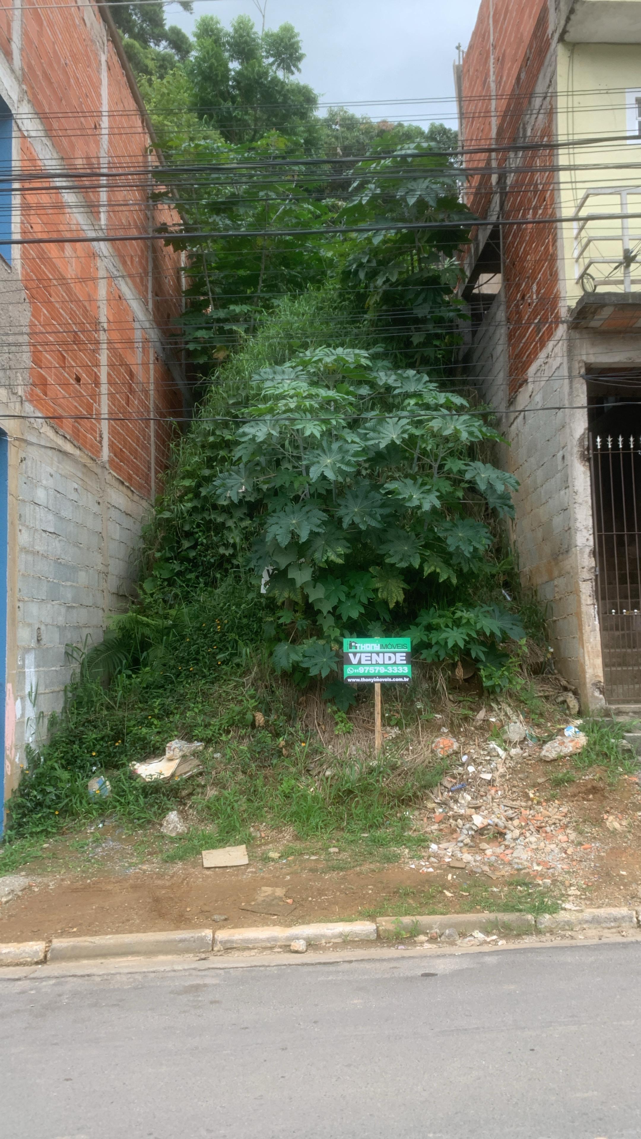 Imagem 2