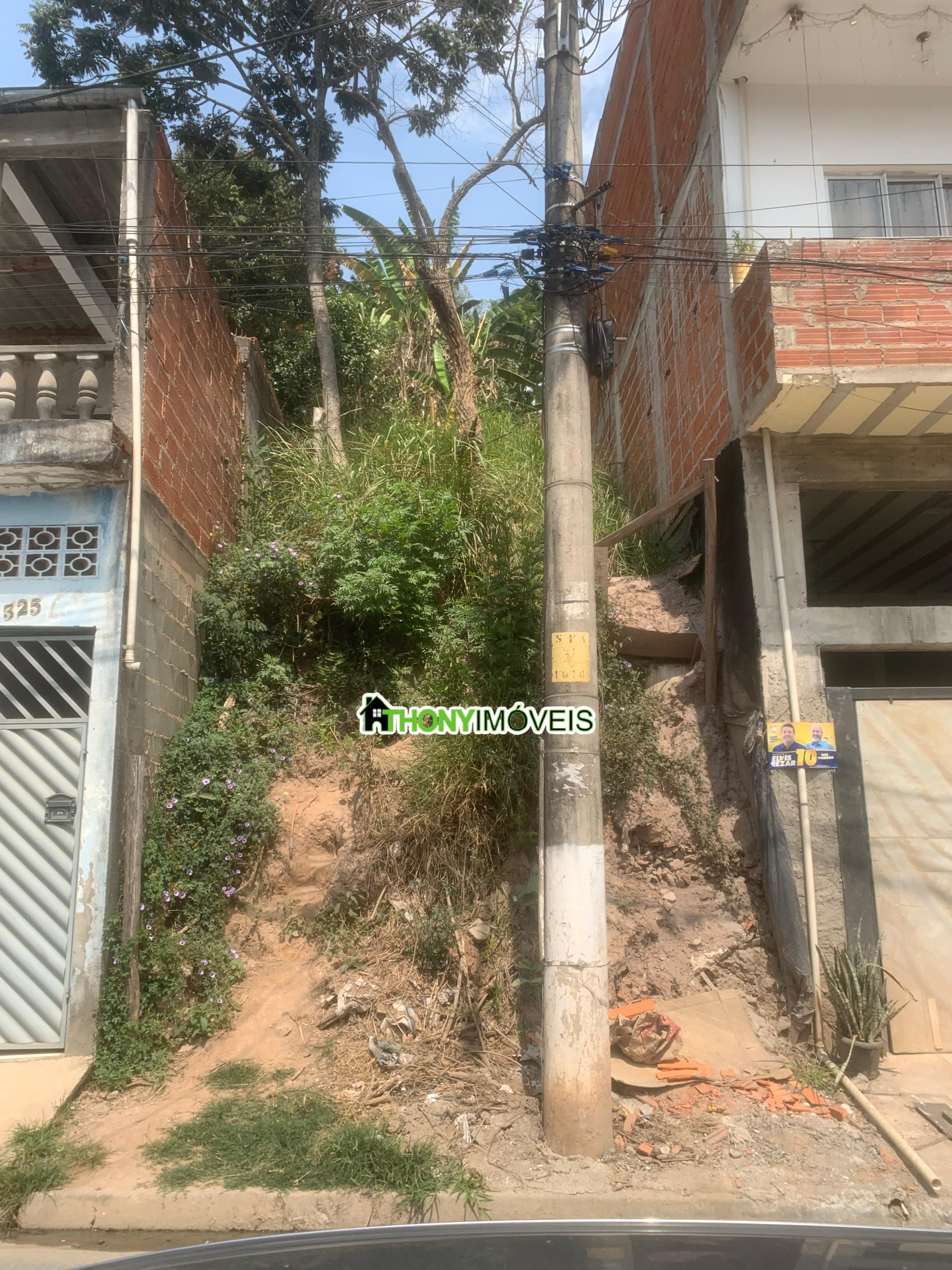 Imagem 2